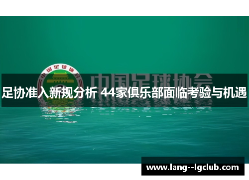 足协准入新规分析 44家俱乐部面临考验与机遇
