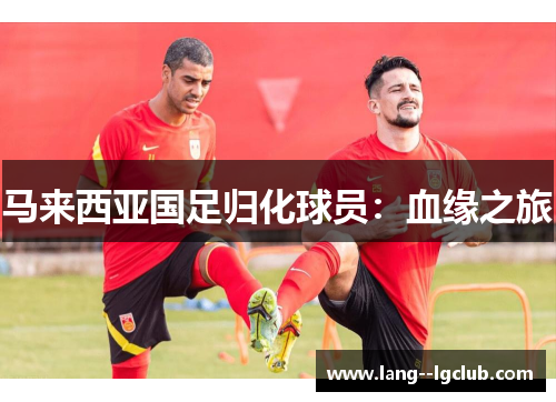 马来西亚国足归化球员：血缘之旅