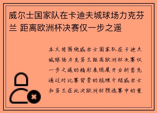 威尔士国家队在卡迪夫城球场力克芬兰 距离欧洲杯决赛仅一步之遥